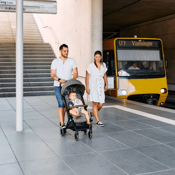 ABC DESIGN Buggy Ping Twee Nature Collectie 2023 2 ABC DESIGN Buggy Ping Twee Nature Collectie 2023 - Afbeelding 2