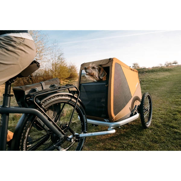 CROOZER Hondenfietskar Dog Tammo Sundown Yellow 4 CROOZER Hondenfietskar Dog Tammo Sundown Yellow - Afbeelding 4