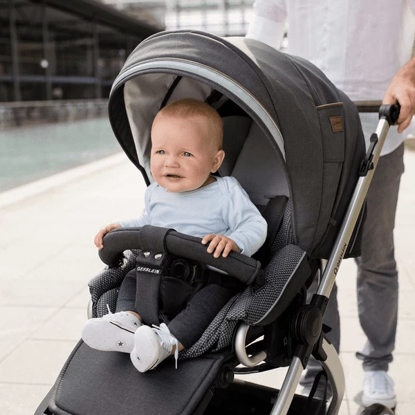 GESSLEIN Combi Kinderwagen F10 Air+, Antraciet / Patroon 2 GESSLEIN Combi Kinderwagen F10 Air+, Antraciet / Patroon - Afbeelding 2