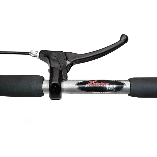 Hartan Kinderwagen Racer GTX Met Handrem Yellow Hearts (208) Framekleur Platina 3 Hartan Kinderwagen Racer GTX Met Handrem Yellow Hearts (208) Framekleur Platina - Afbeelding 3