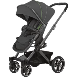 Hartan Kinderwagen Vip GTX Birdy (204) Framekleur Platina
